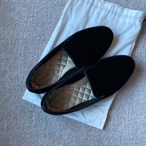 Birdies - Starling Black Velvet